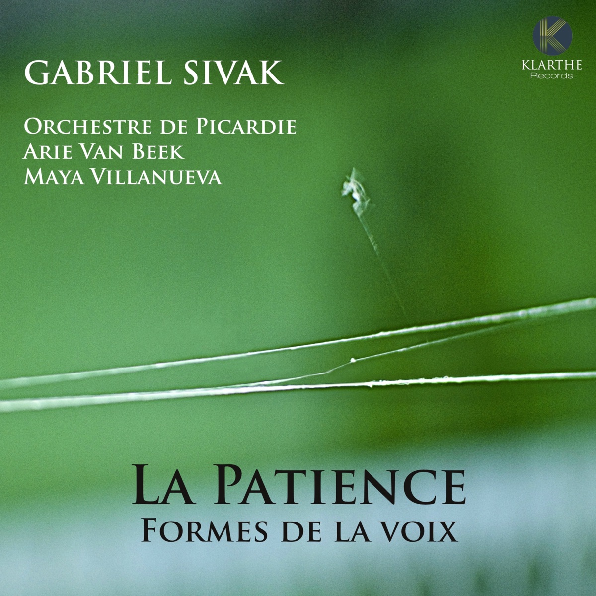 La patience by Maya Villanueva, Arie Van Beek & Orchestre de Picardie album cover