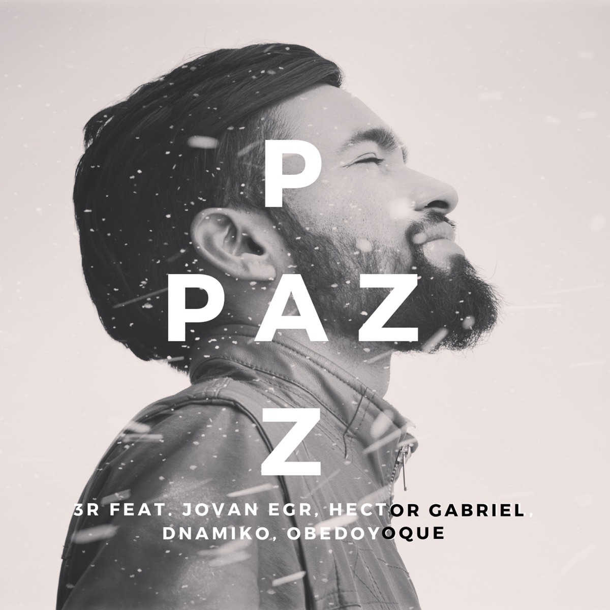 Paz (feat. Rupet Dnamiko, Héctor Gabriel, Obedoyoque & Jovan El Guerrero Del Reino) - Single by 3R El Hijo Del Rey album cover