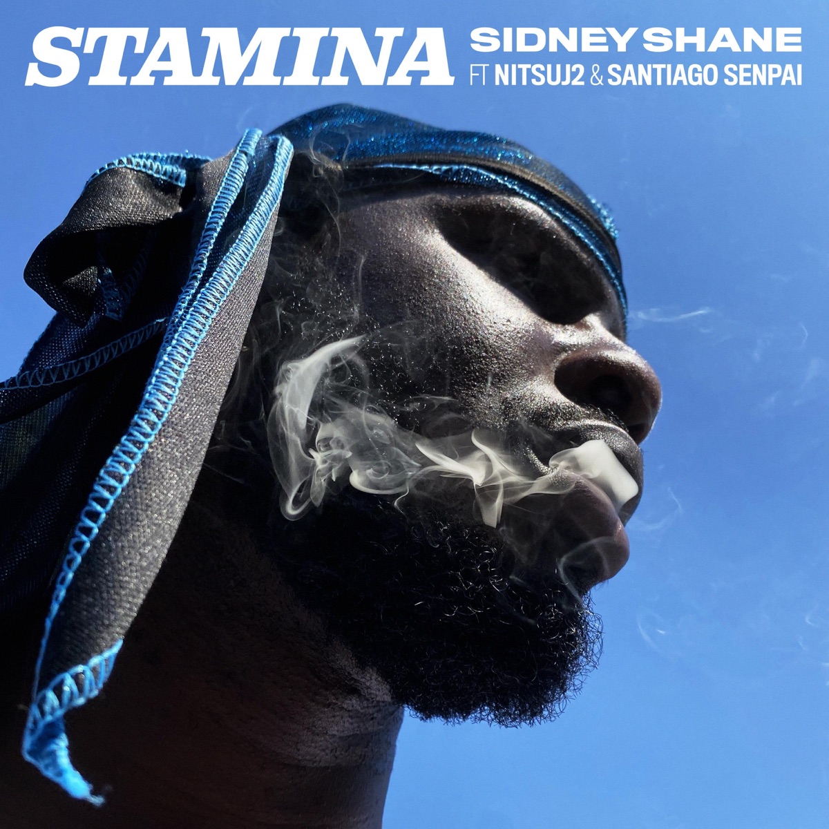 Stamina (feat. Nitsuj2 & Santiago Senpai) - Single by Sidney Shane album cover