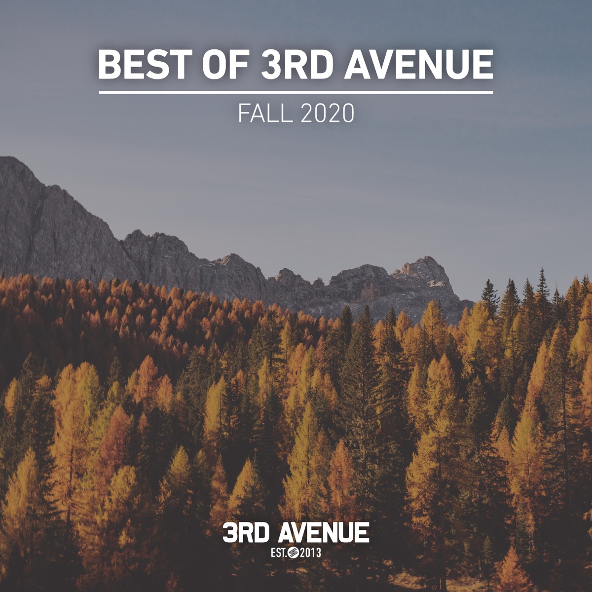 Best of 3rd Avenue  Fall 2020 by Albuquerque, Forerunners & Hot Tuneik album cover