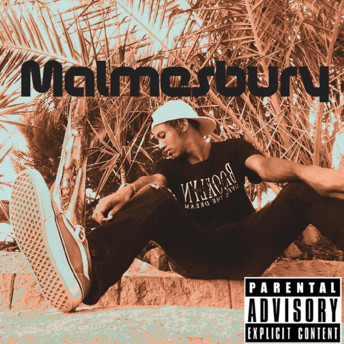 Malmesbury (feat. Rappertjie) - Single by SkaterAsh album cover