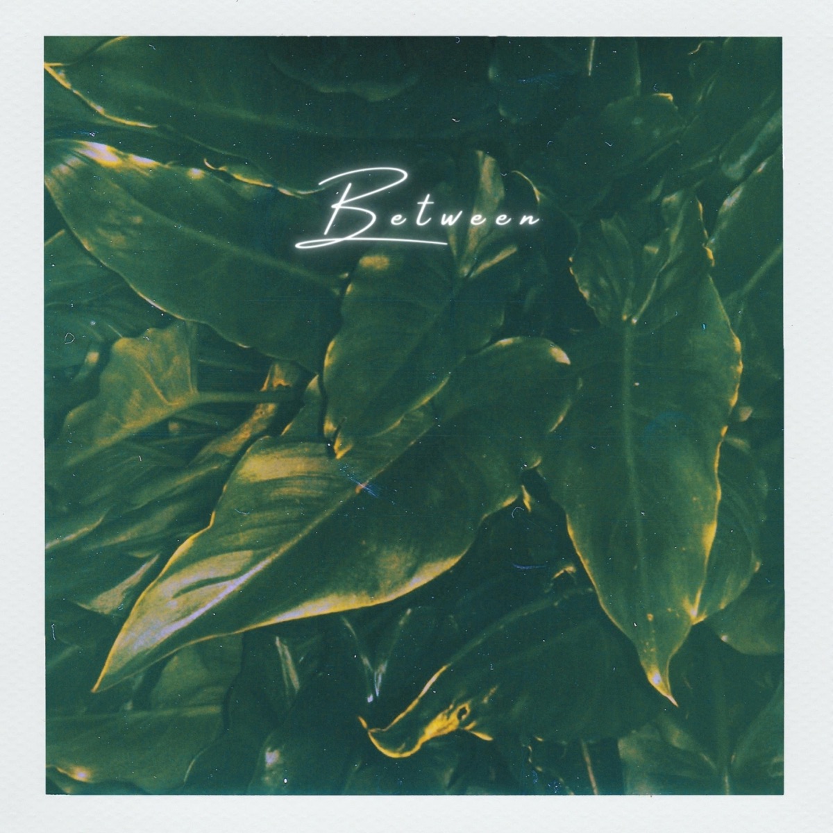 Between - Single by Maadrhino album cover