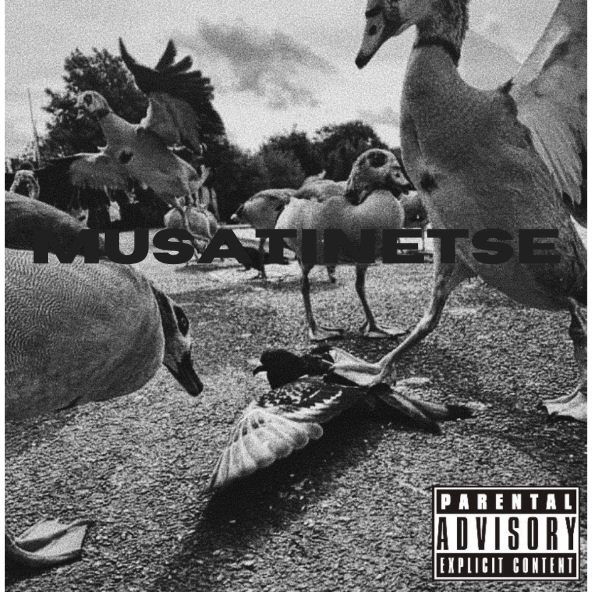 Musatinetse - Single by Tmak album cover