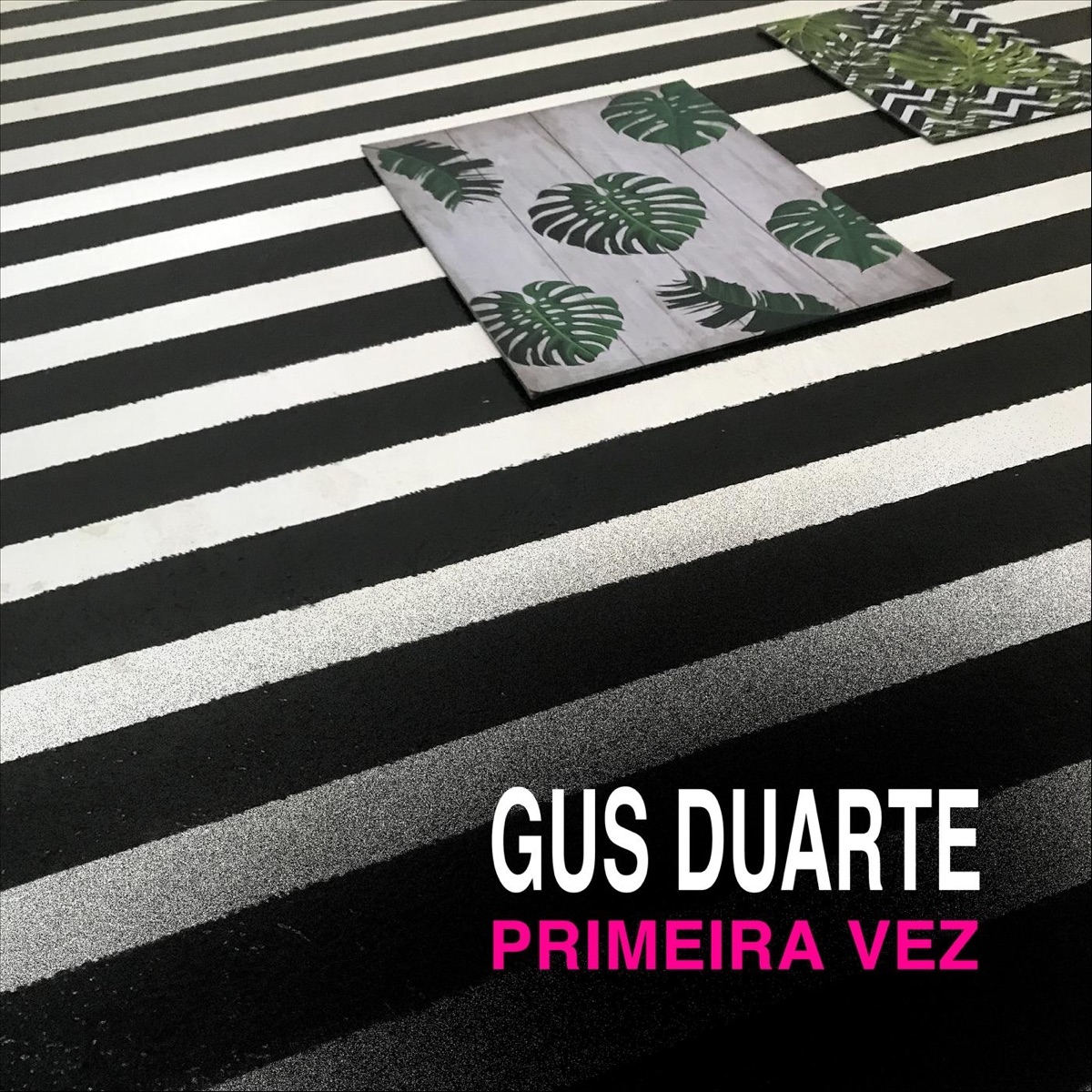 Primeira Vez - Single by Gus Duarte album cover