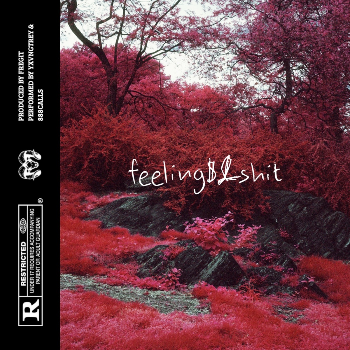 Feeling$&Sh*T - Single by Fregit, YxvngTrey & 888calls album cover
