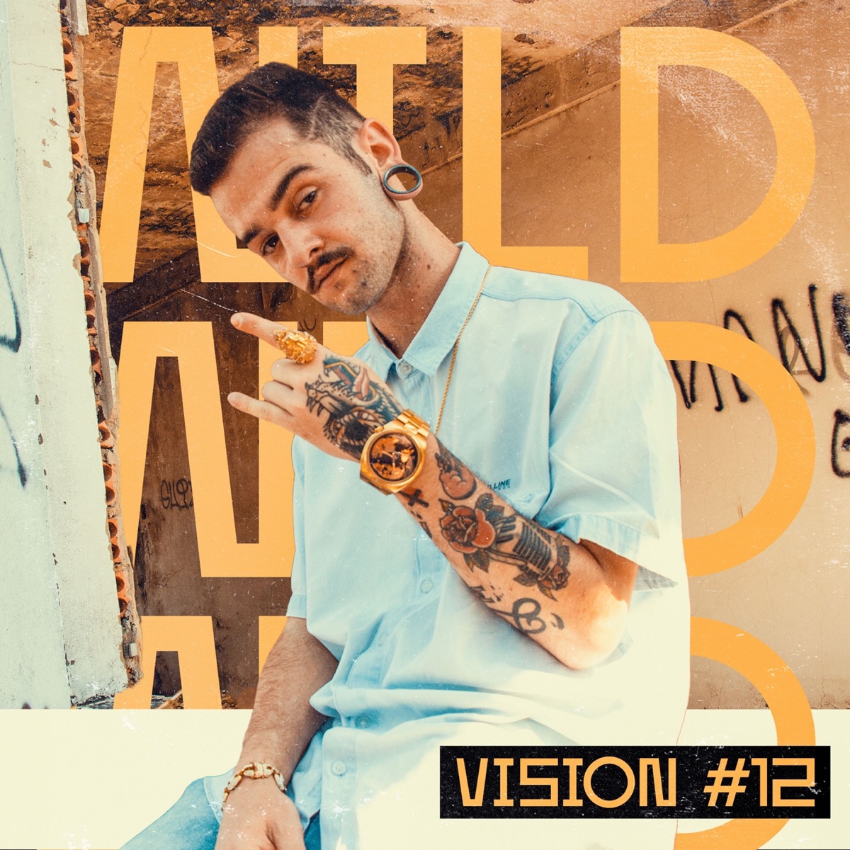 Vision #12: Wild - Single by Sleek Inc & Valcanaia album cover