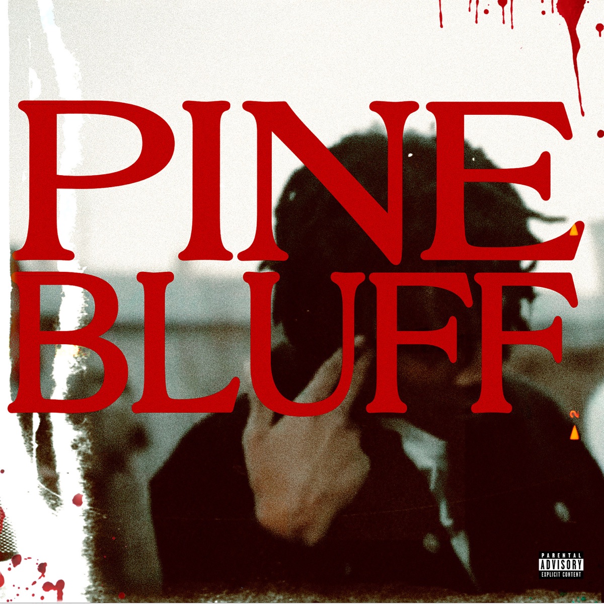 Pine Bluff - Single by Cee Kay album cover