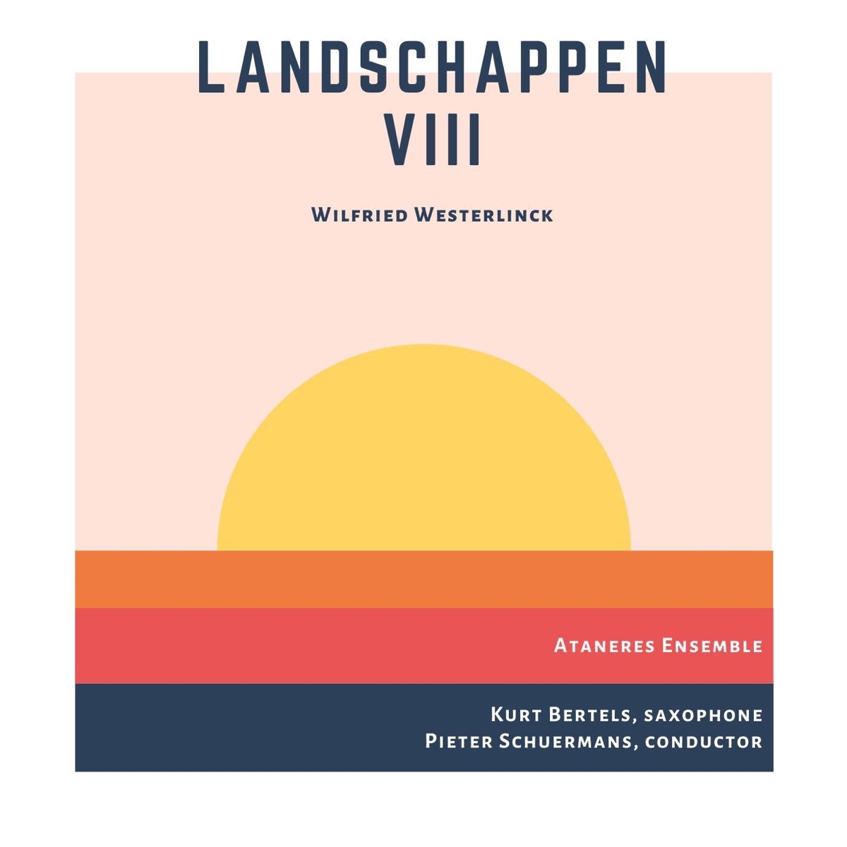 Landschappen VIII - EP by Ataneres Ensemble, Kurt Bertels & Pieter Schuermans album cover