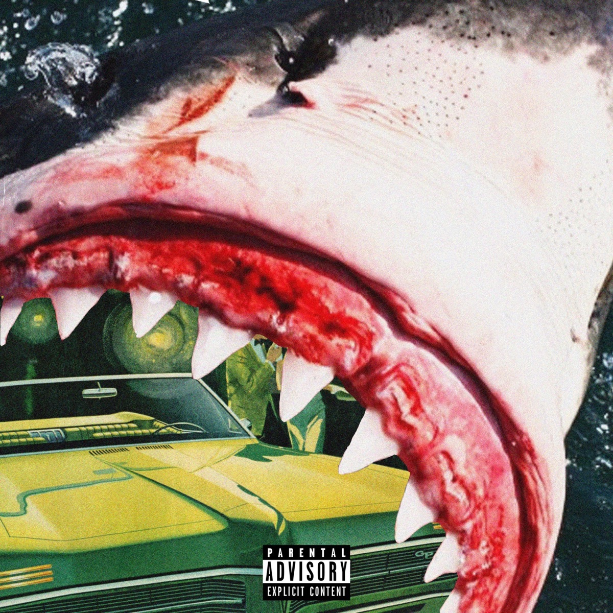 Shark Report by Big Kahuna OG & Monday Night album cover
