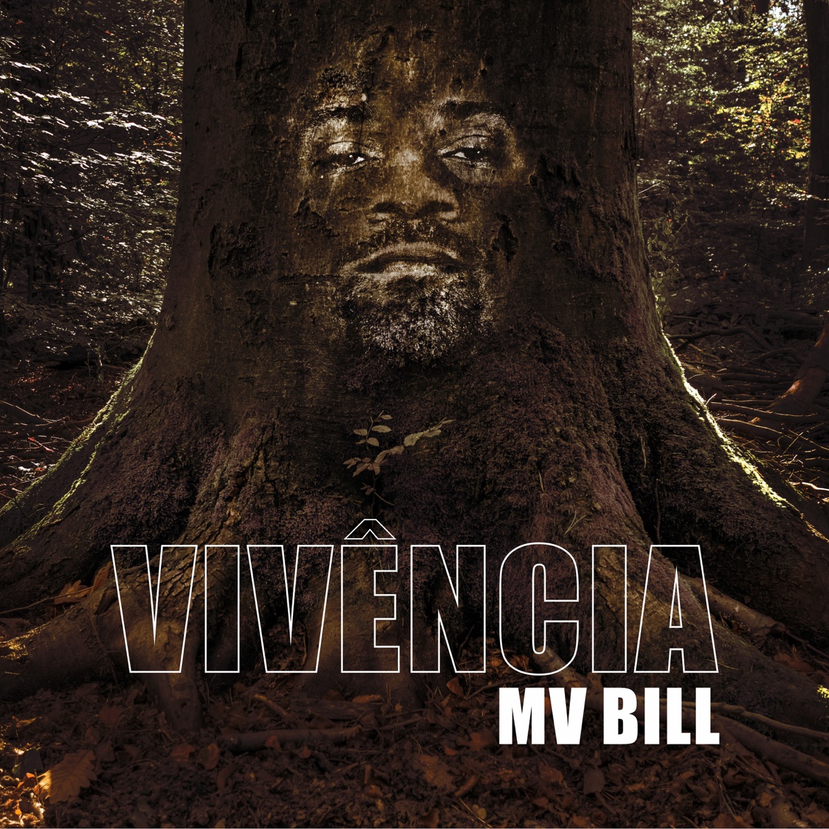 Vivência by MV Bill album cover