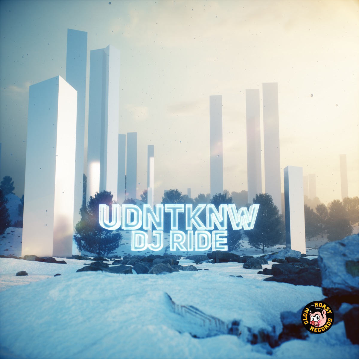UDNTKNW - Single by DJ Ride album cover