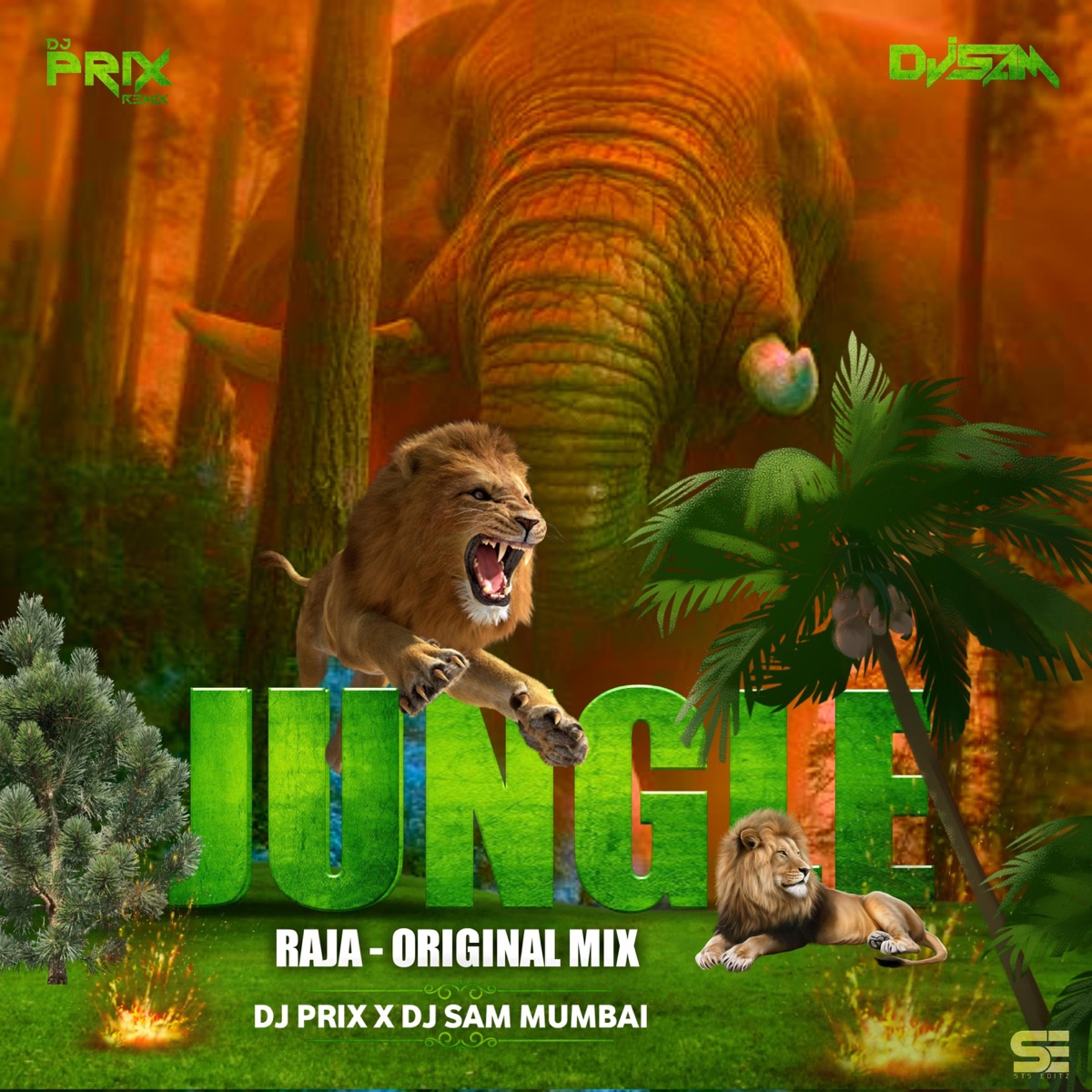 Jungle Raja (feat. Dj Sam Mumbai) [Original Tribal Version] - Single by DJ PRIX album cover
