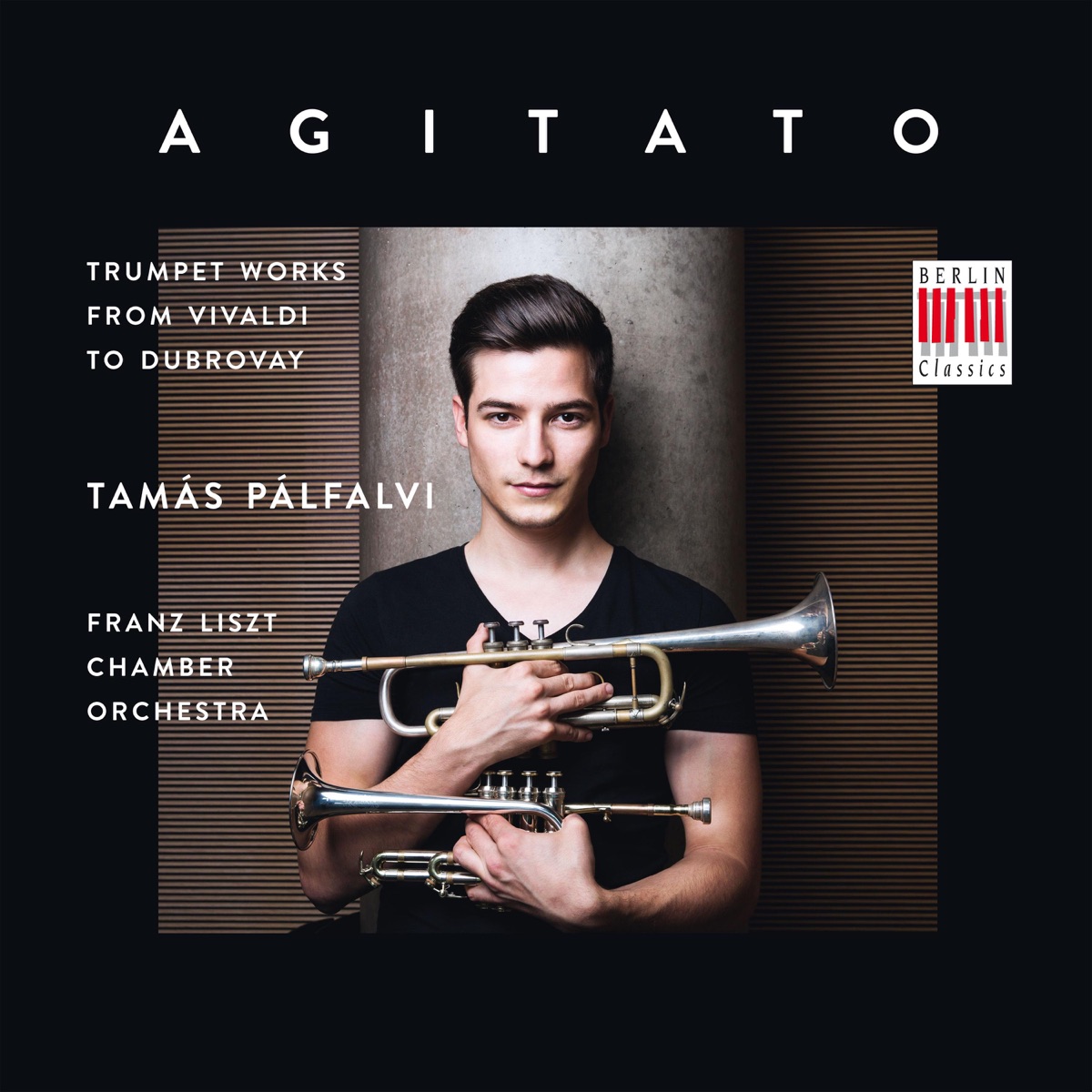Agitato by Tamás Palfalvi & Franz Liszt Chamber Orchestra album cover