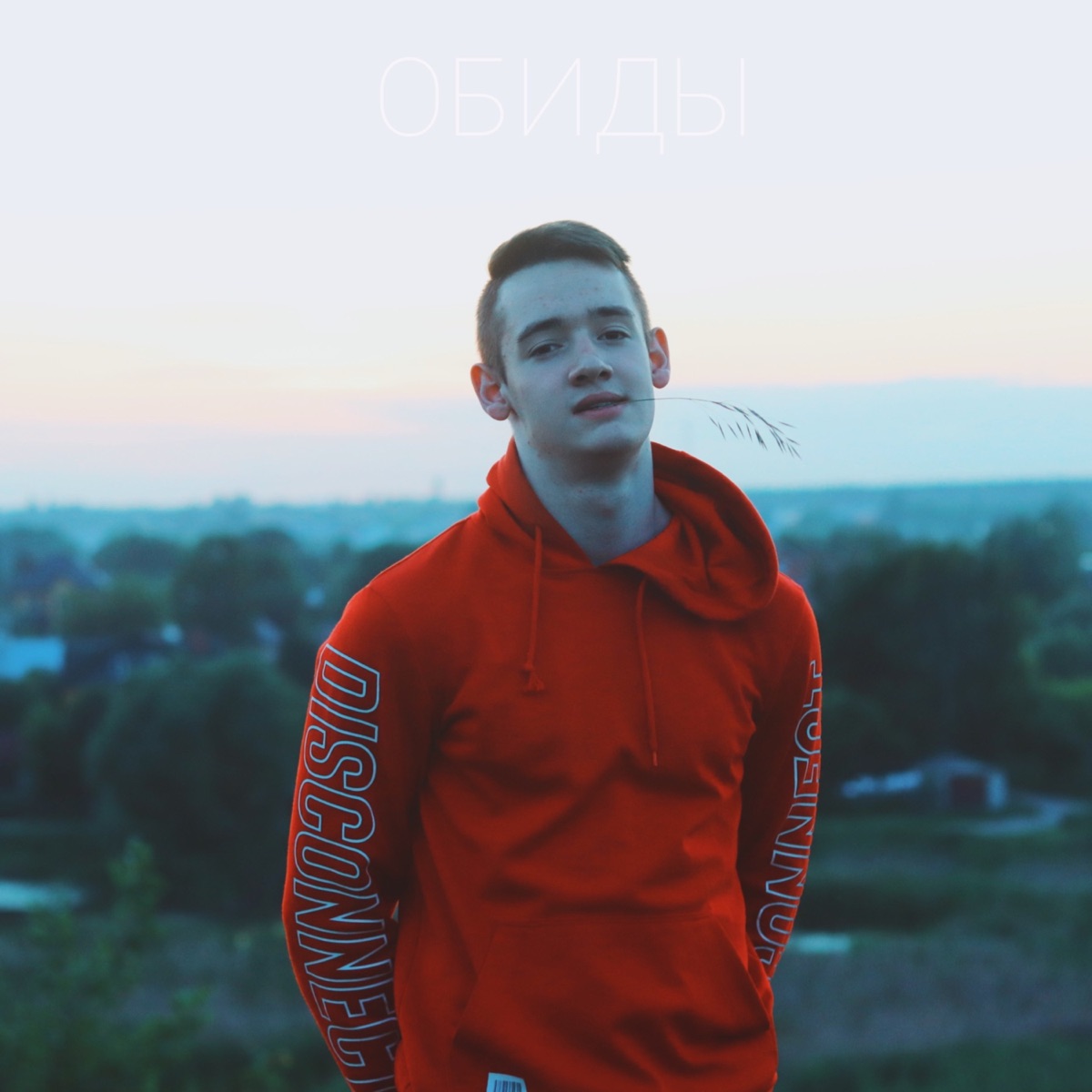 Обиды - Single by Сибирцев album cover