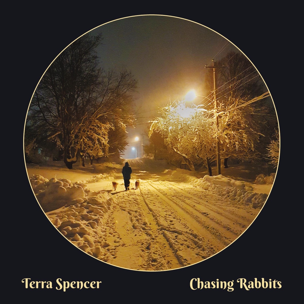Chasing Rabbits by Terra Spencer album cover