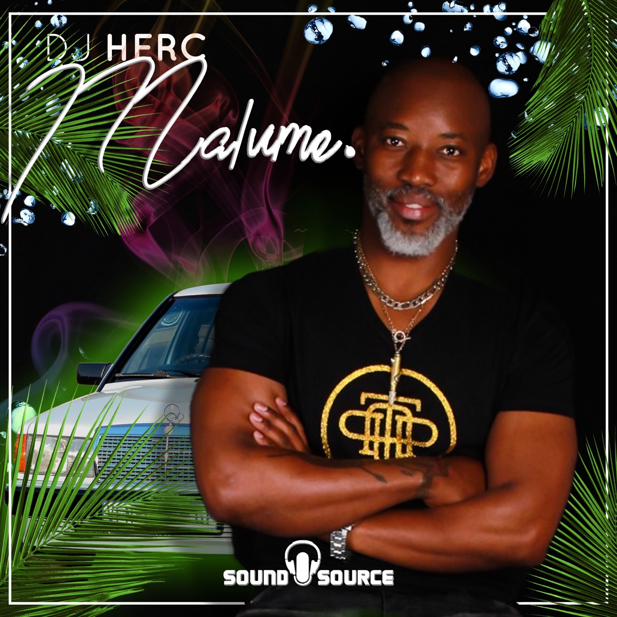 Malume - Single by DJ Herc album cover