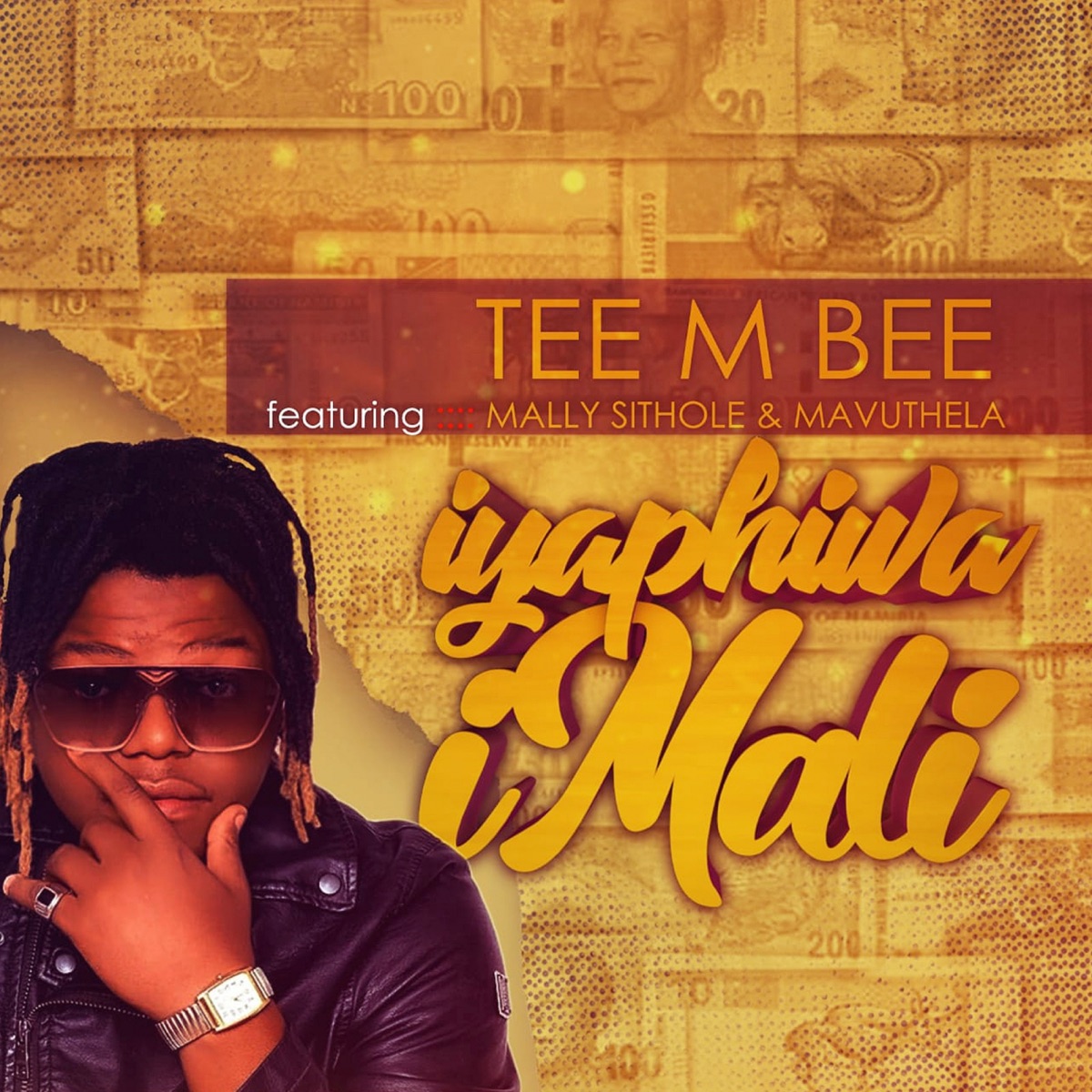 Iyaphiwa Imali (feat. Mally Sithole & Mavuthela) - Single by Tee M Bee album cover