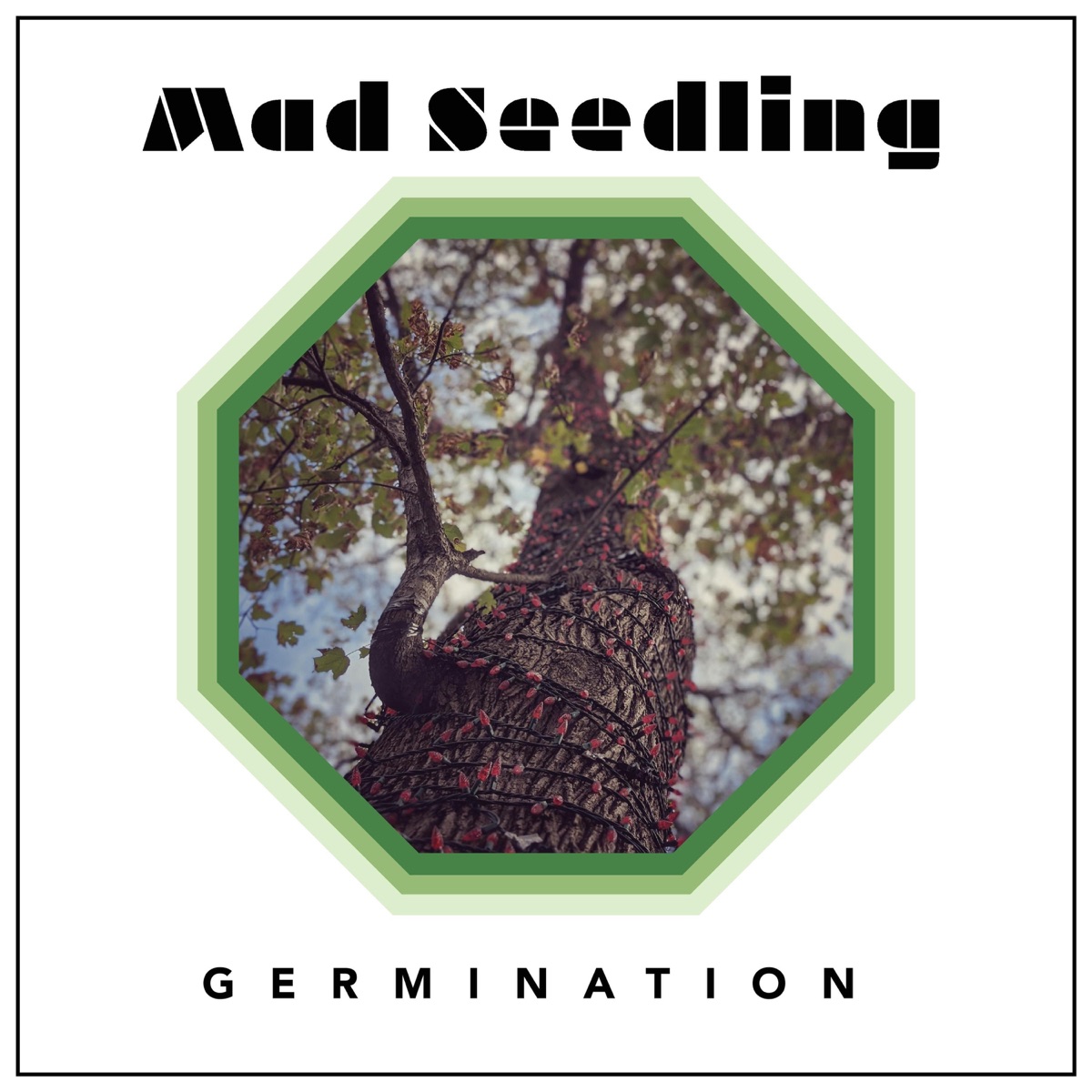 Germination by Mad Seedling album cover