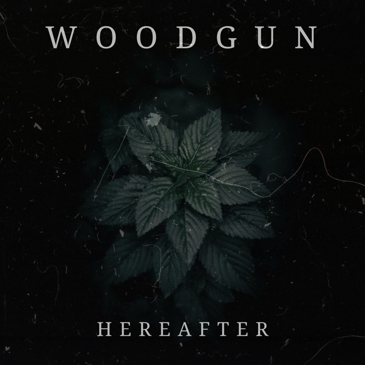 Hereafter - Single by Woodgun album cover