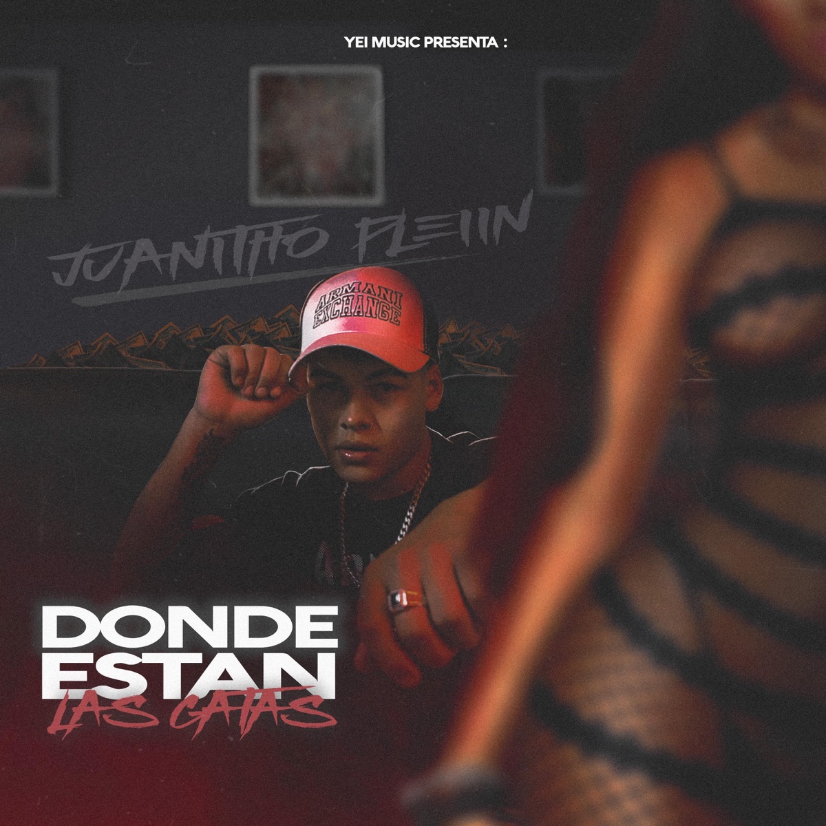 Dónde Están las Gatas - Single by Juanitho Pleiin album cover