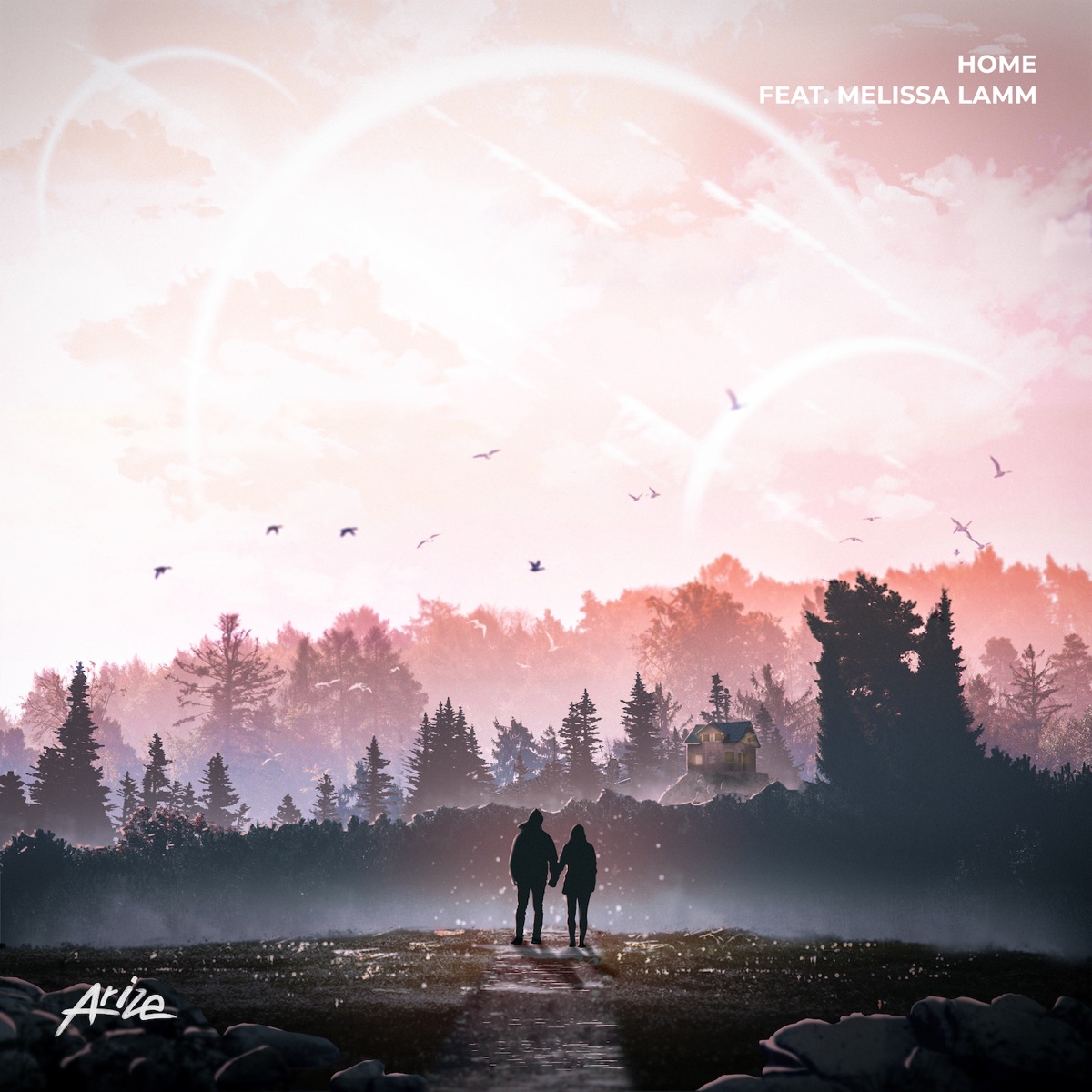 Home - Single by Arize & Melissa Lamm album cover