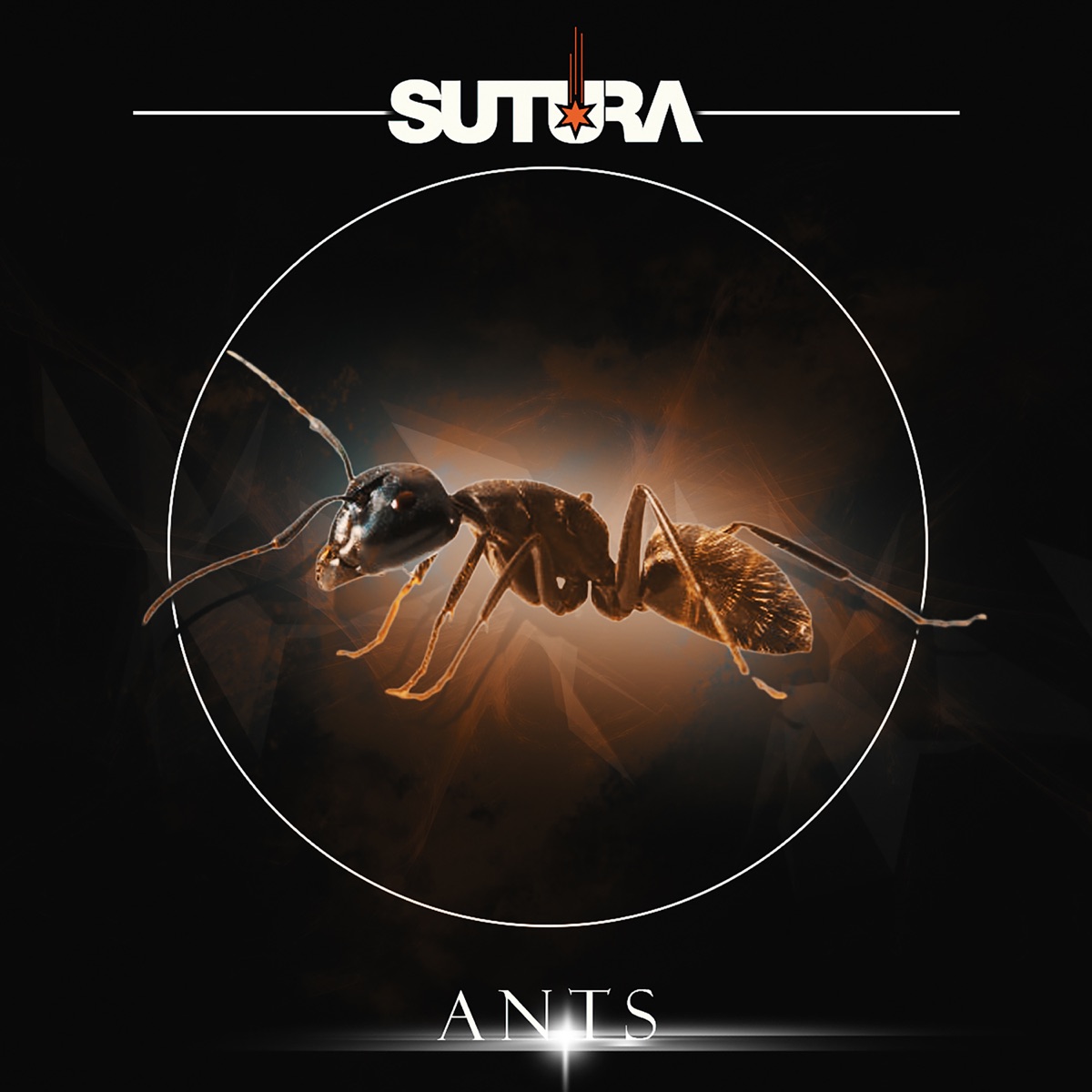 Ants - Single by Sutura album cover