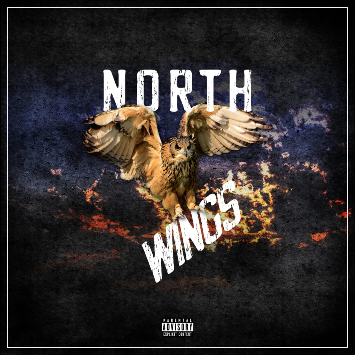 North Wings - EP by W Mc & JXX$ album cover
