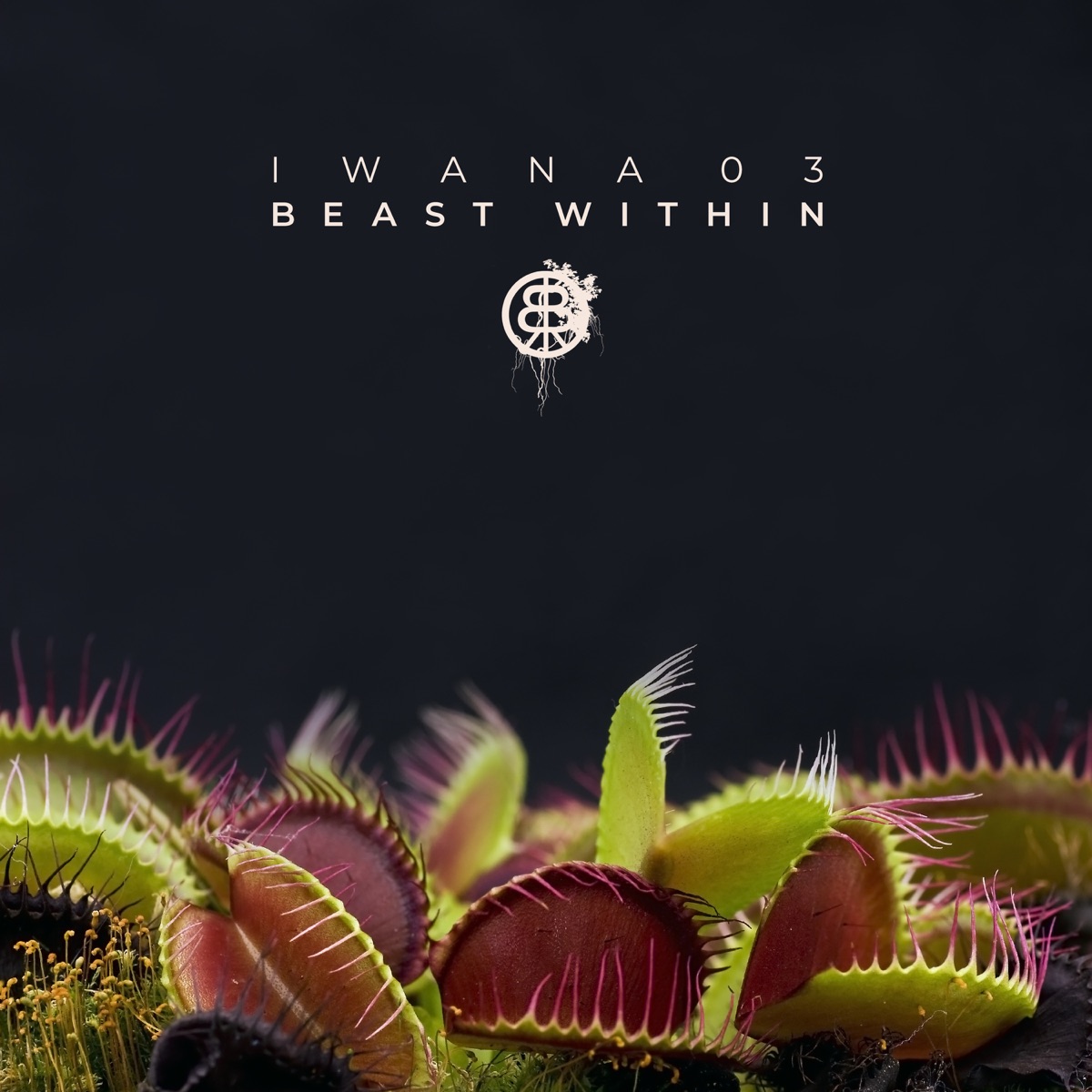 IWANA 03 - Beast Within by Gabriel Moraes, Käse Kochen & Rainbird album cover