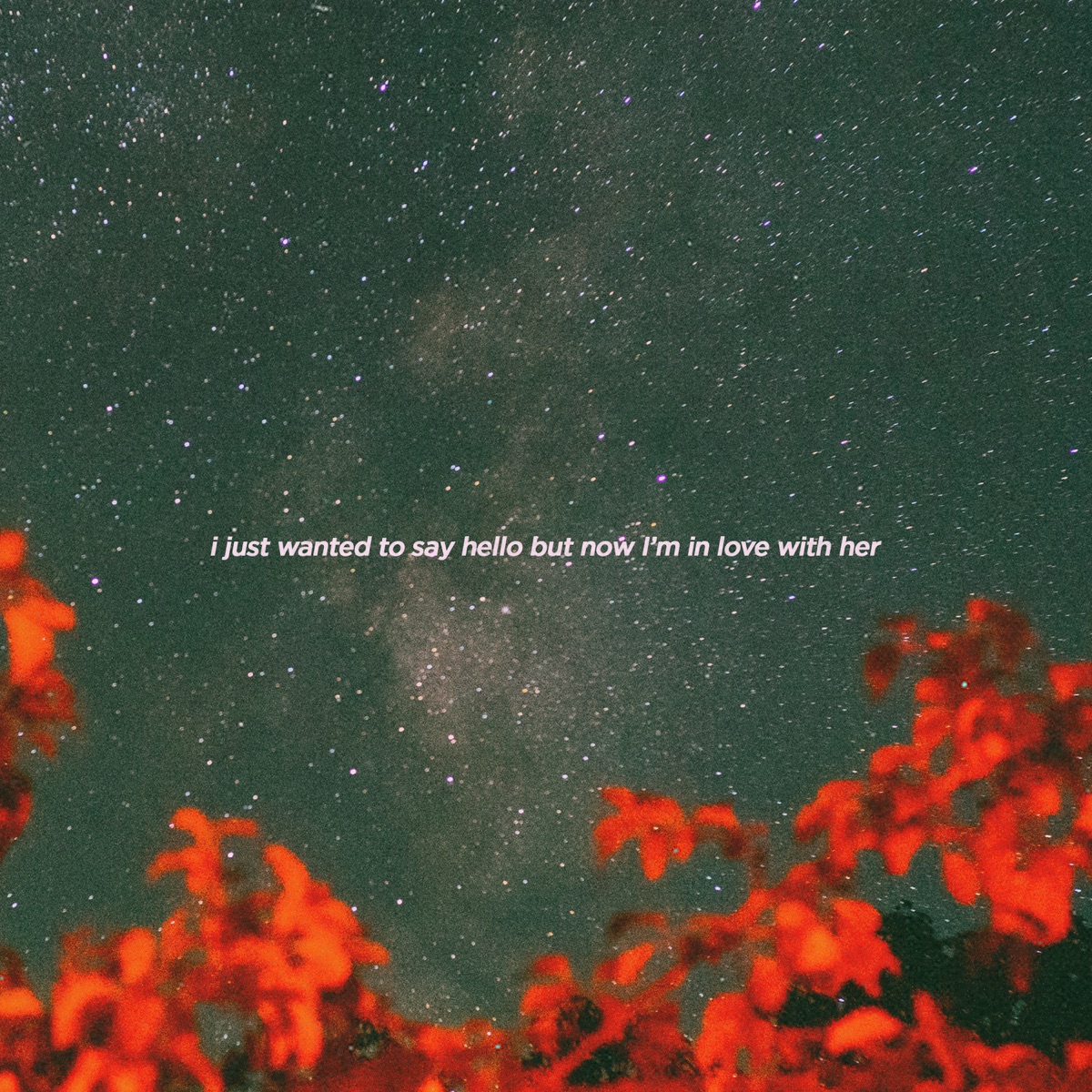 i just wanted to say hello but now I'm in love with her - Single by Iamcloud album cover