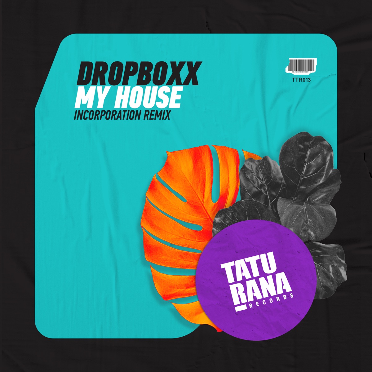 My House Incorporation Remix - Single by Dropboxx album cover