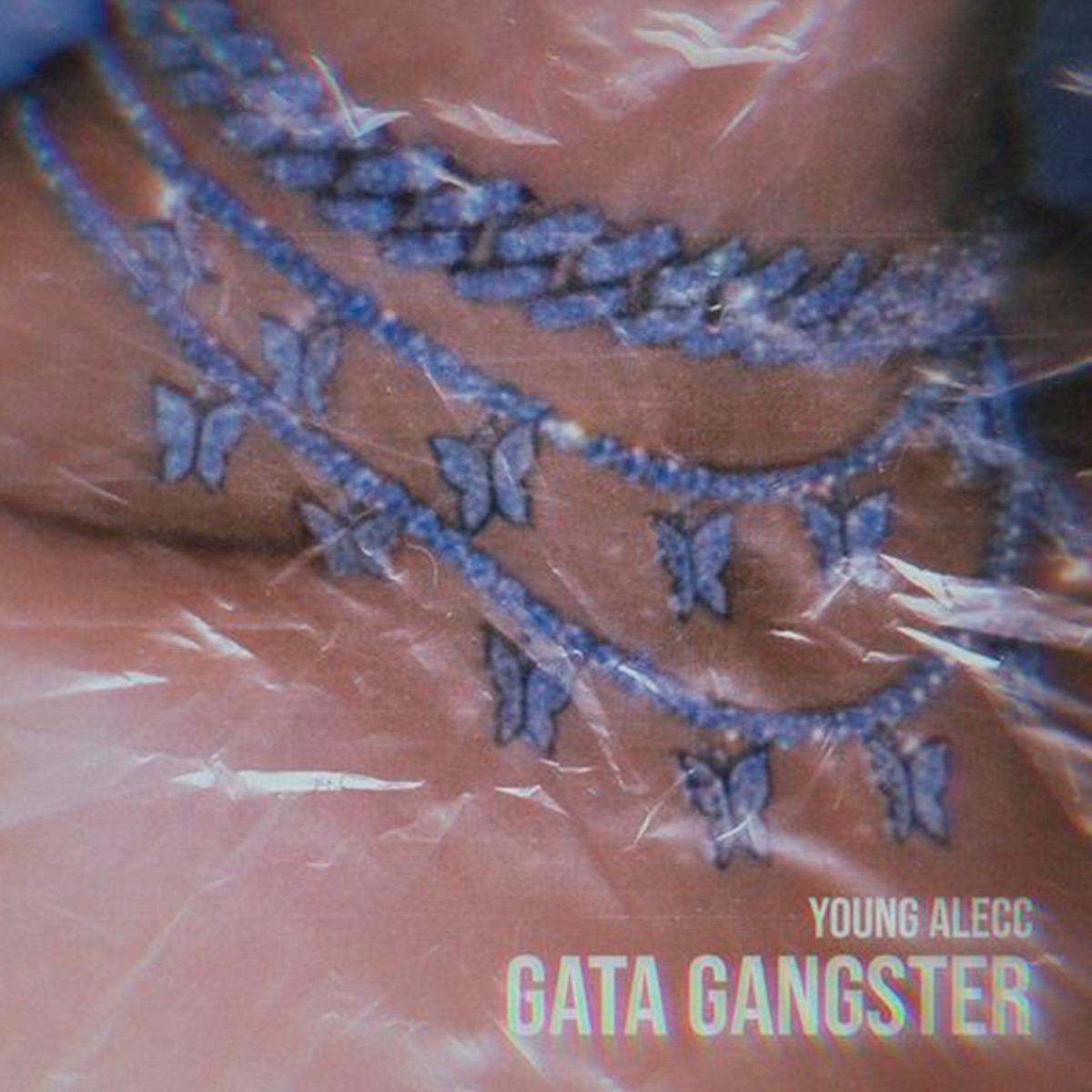 Gata Gangster - Single by Young Alecc album cover