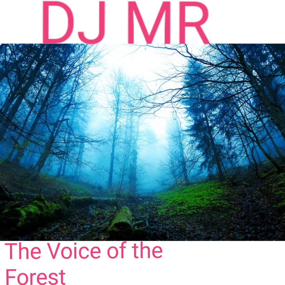The Voice of the Forest - Single by Dj MR album cover