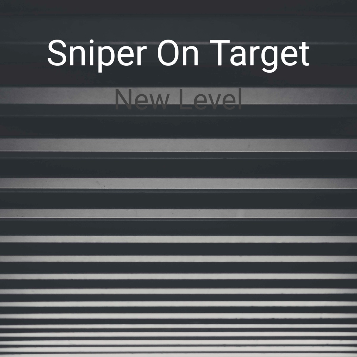 New Level - Single by Sniper On Target album cover