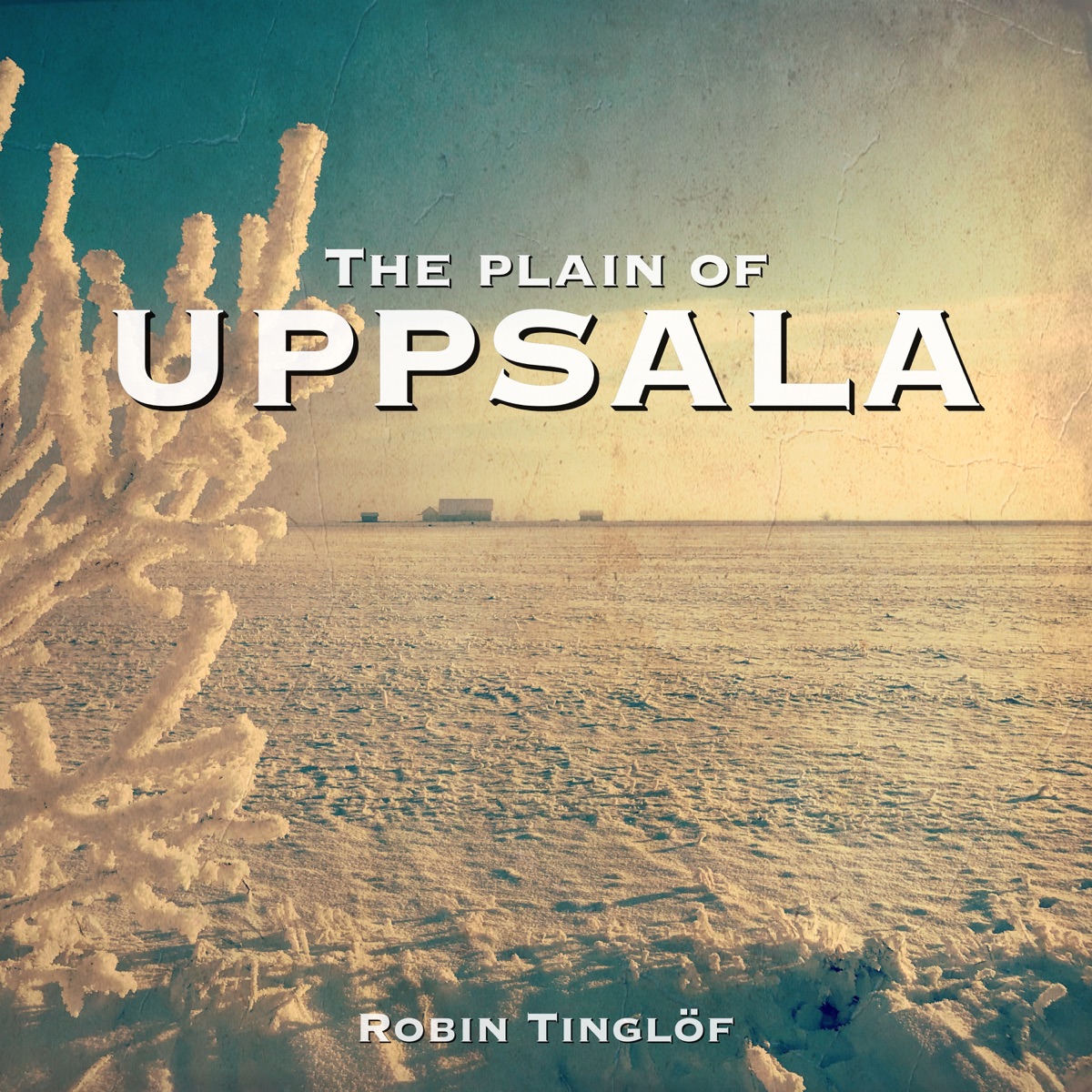 The plain of Uppsala - Single by Robin Tinglöf album cover