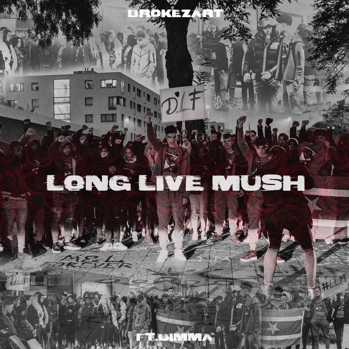 Long Live Mush (feat. Dimma) - Single by Brokezart album cover