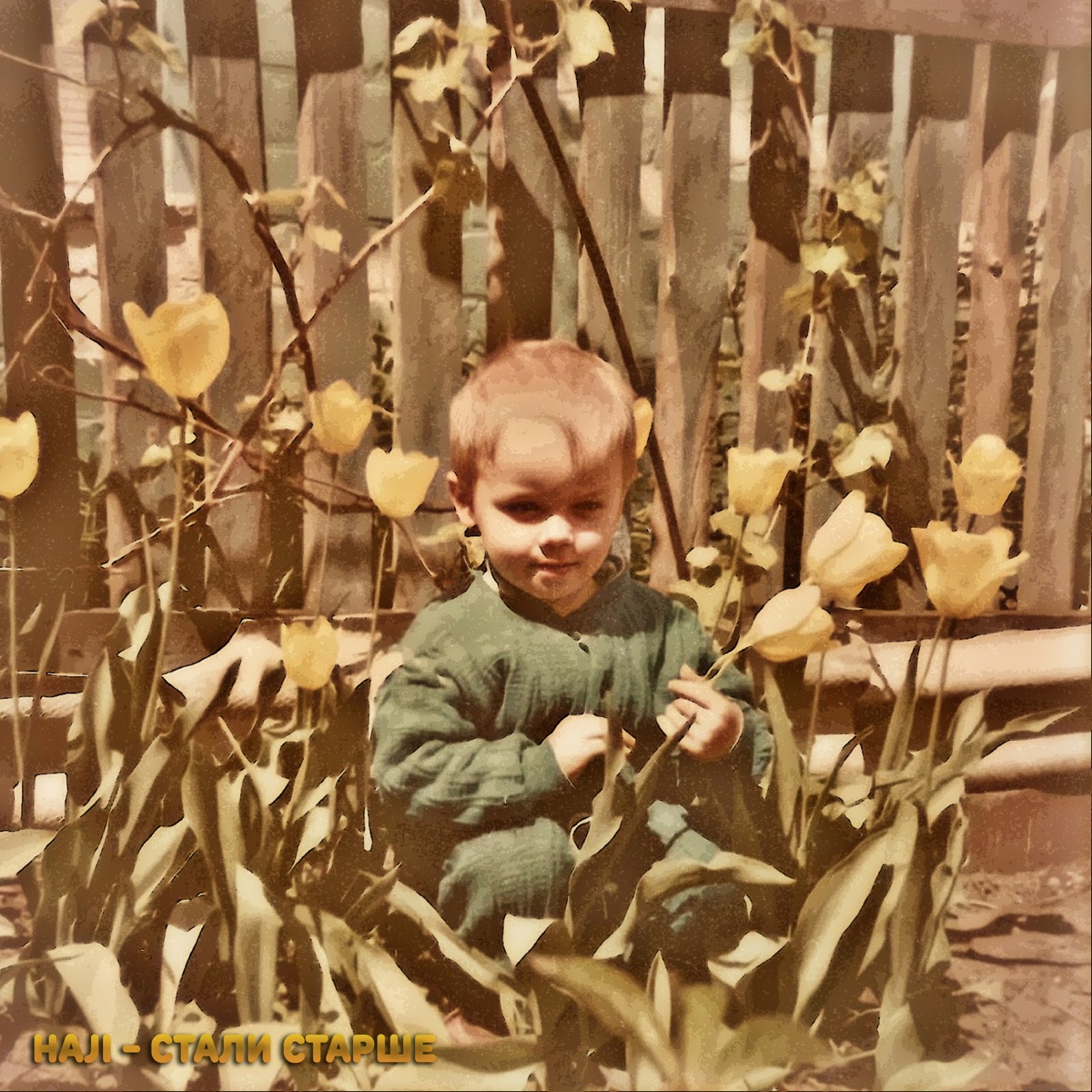 Стали старше - Single by Haji album cover