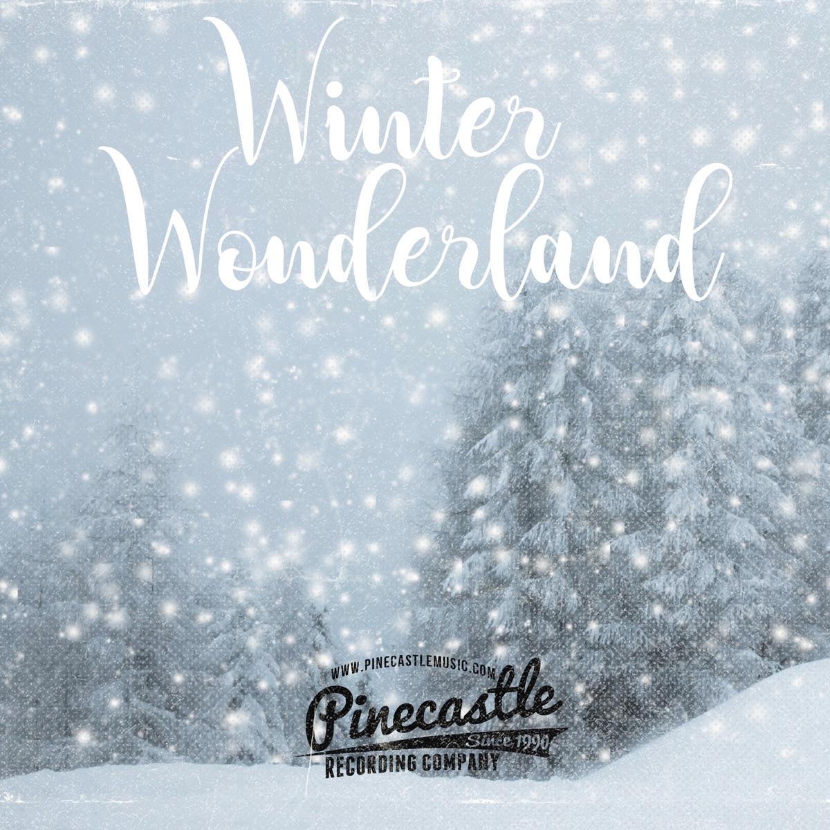 Winter Wonderland (feat. Ethan Burkhardt, Logan Lassiter, Tim Crouch & Tony Wray) - Single by Pinecastle Records album cover