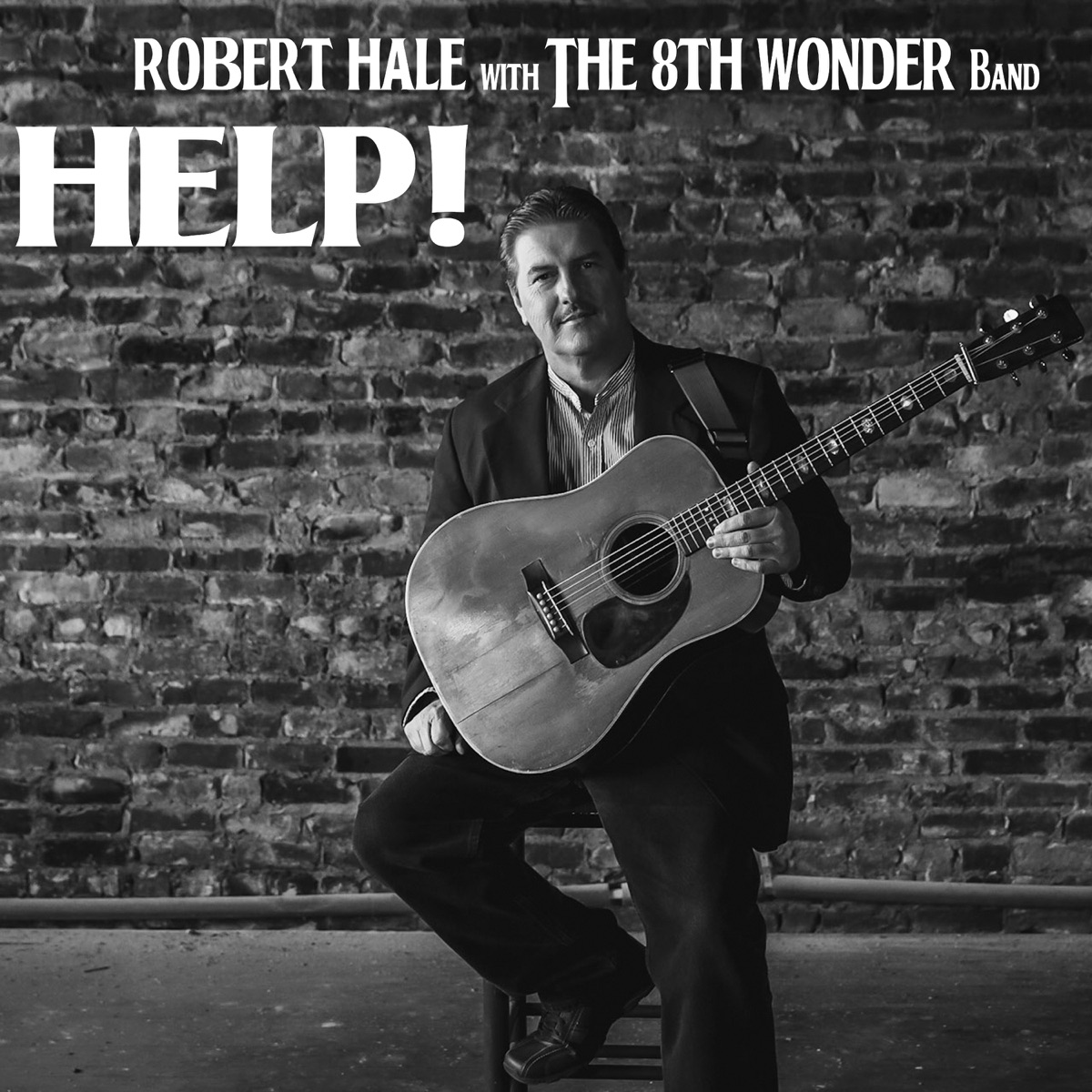 Help! (feat. Scott Vestal, Missy Raines & Shawn Lane) - Single by Robert Hale & The 8th Wonder Band album cover