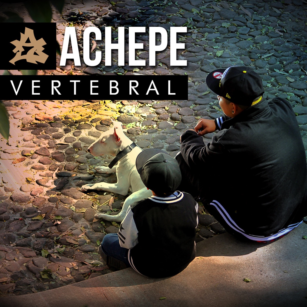 Vertebral by Achepe album cover