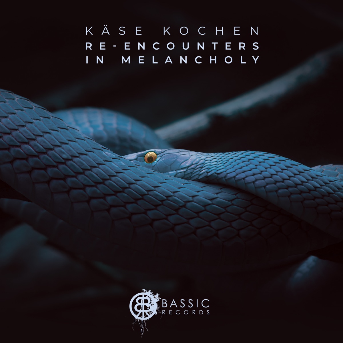 Re-Encounters In Melancholy by Käse Kochen, Jossie Telch & Axon album cover