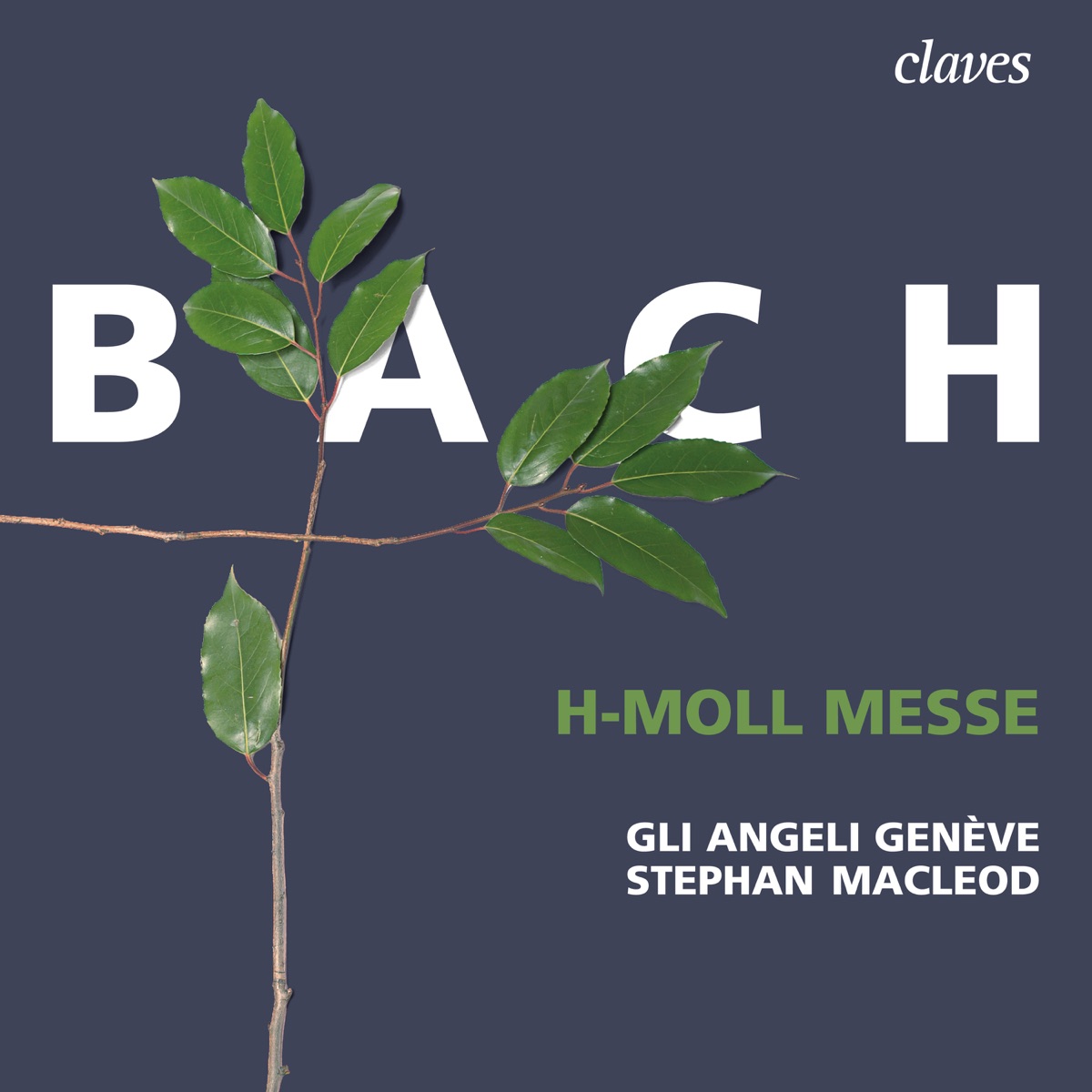Bach: h-moll Messe, BWV 232 by Stephan MacLeod & Gli Angeli Genève album cover