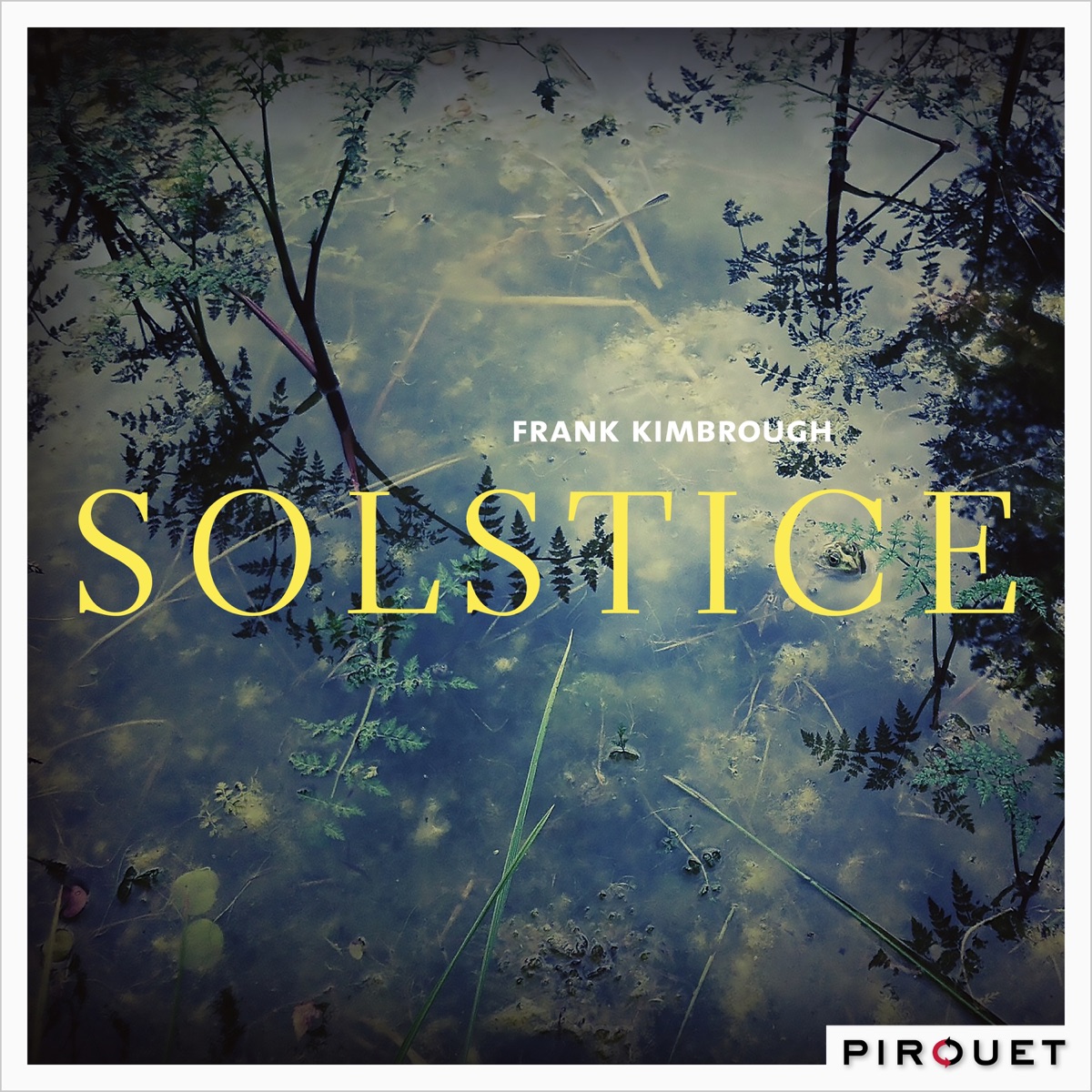 Solstice (feat. Jay Anderson & Jeff Hirshfield) by Frank Kimbrough album cover
