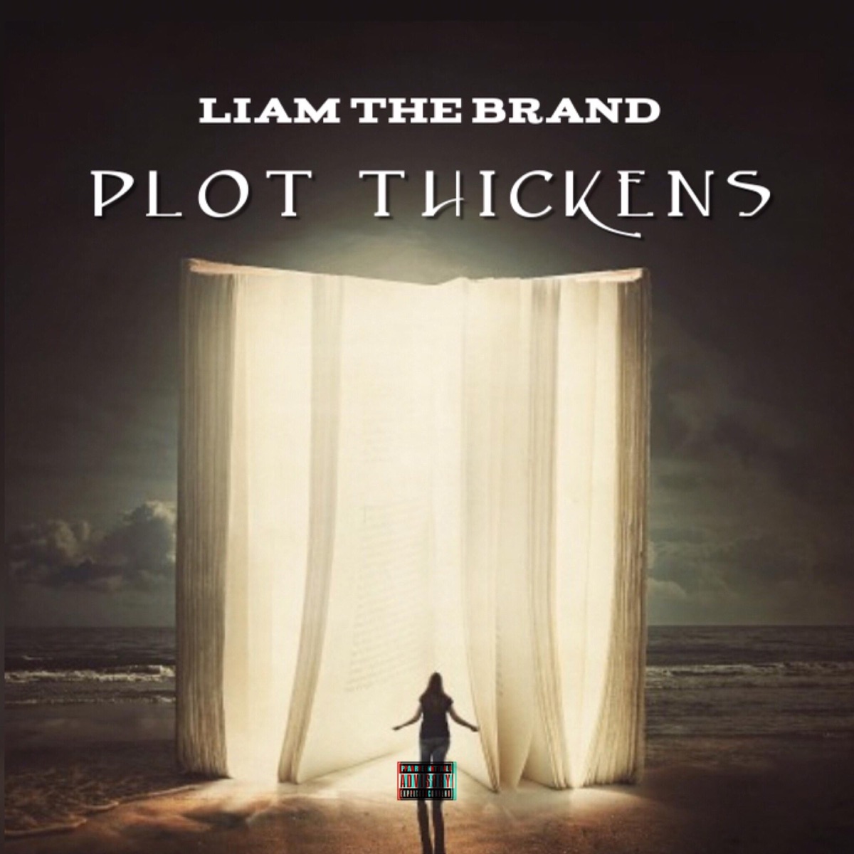 Plot Thickens - Single by Liam the Brand album cover