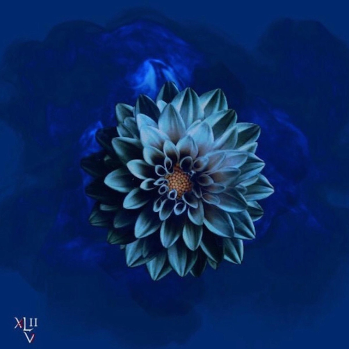 Coraggio di Stupirti by Bliwo album cover