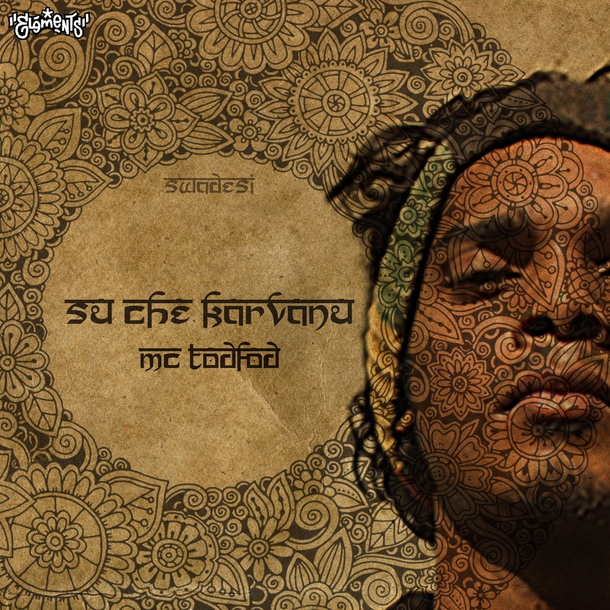 Su Che Karvanu - Single by Swadesi & MC Todfod album cover
