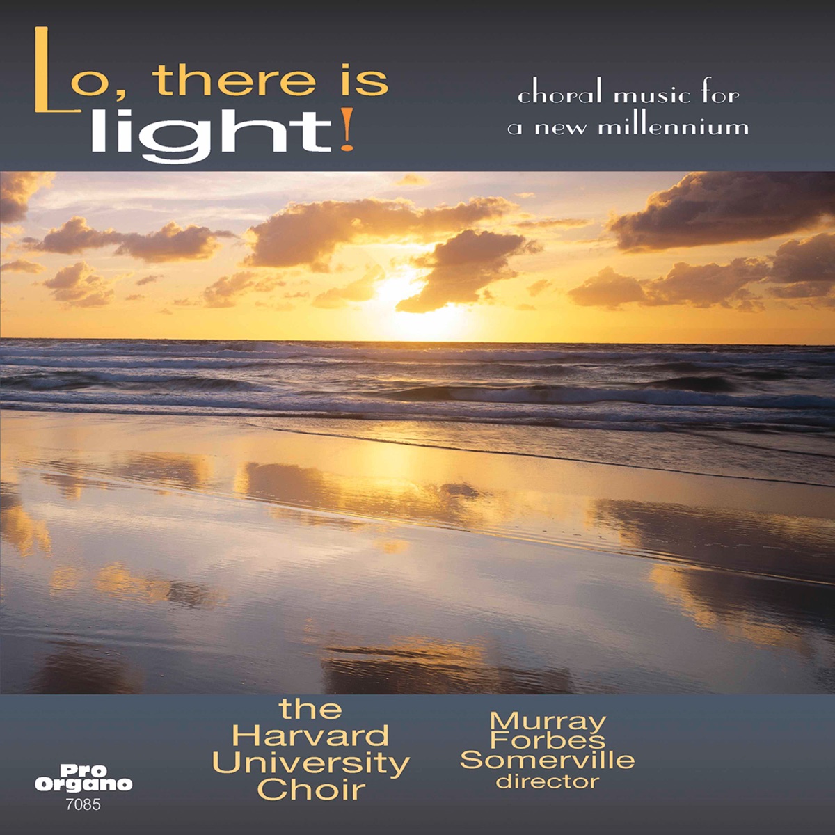 Lo, There Is Light! by Harvard University Choir, Murray Forbes Somerville & Nancy Granert album cover