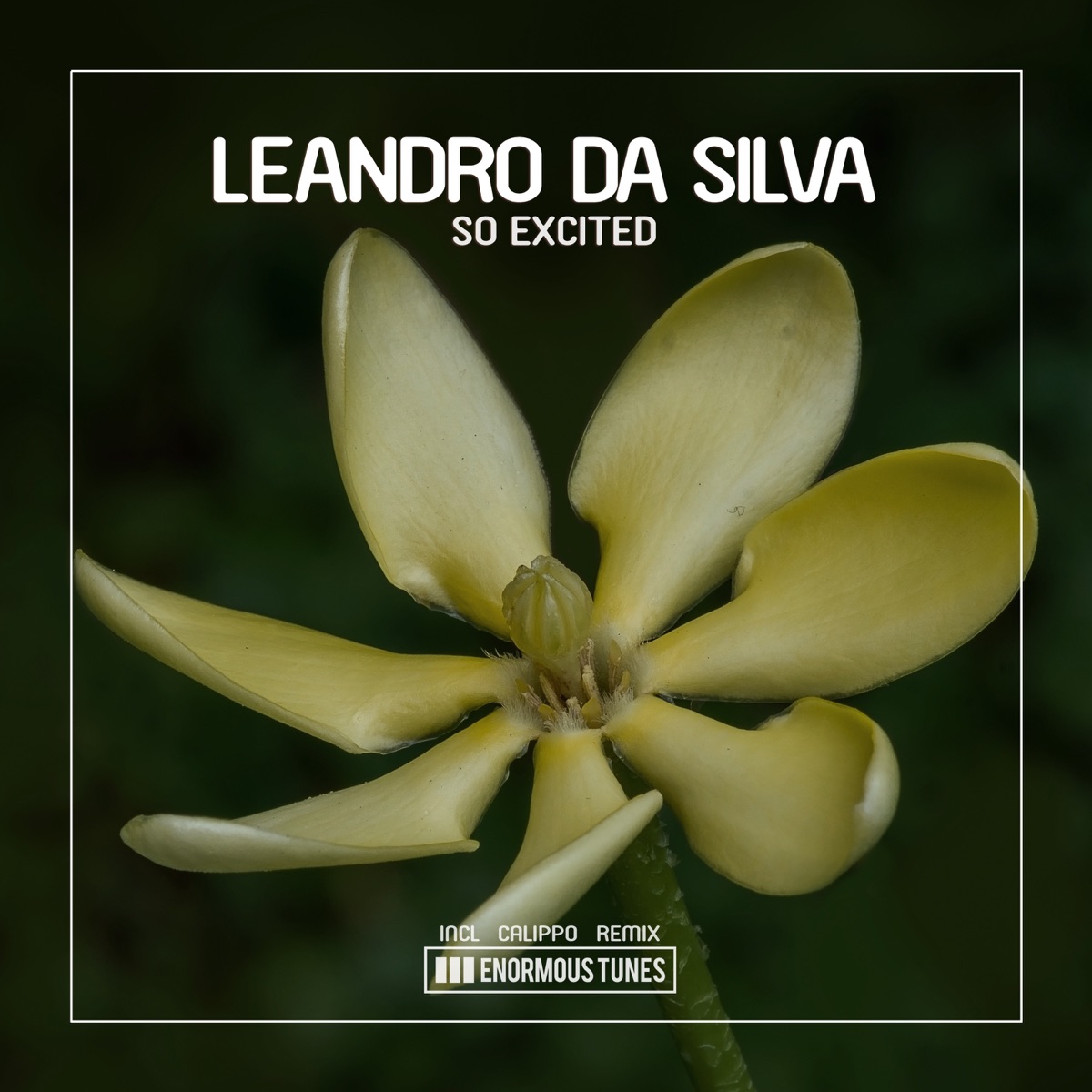 So Excited (Remixes) - EP by Leandro Da Silva album cover