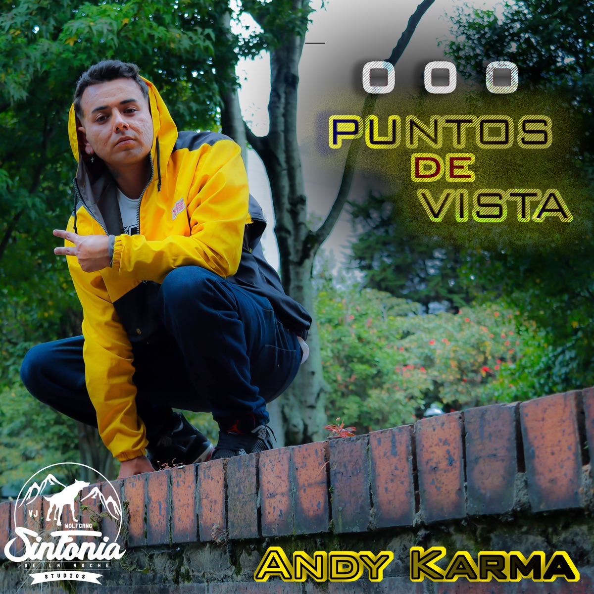 Puntos de Vista - Single by Andy Karma album cover