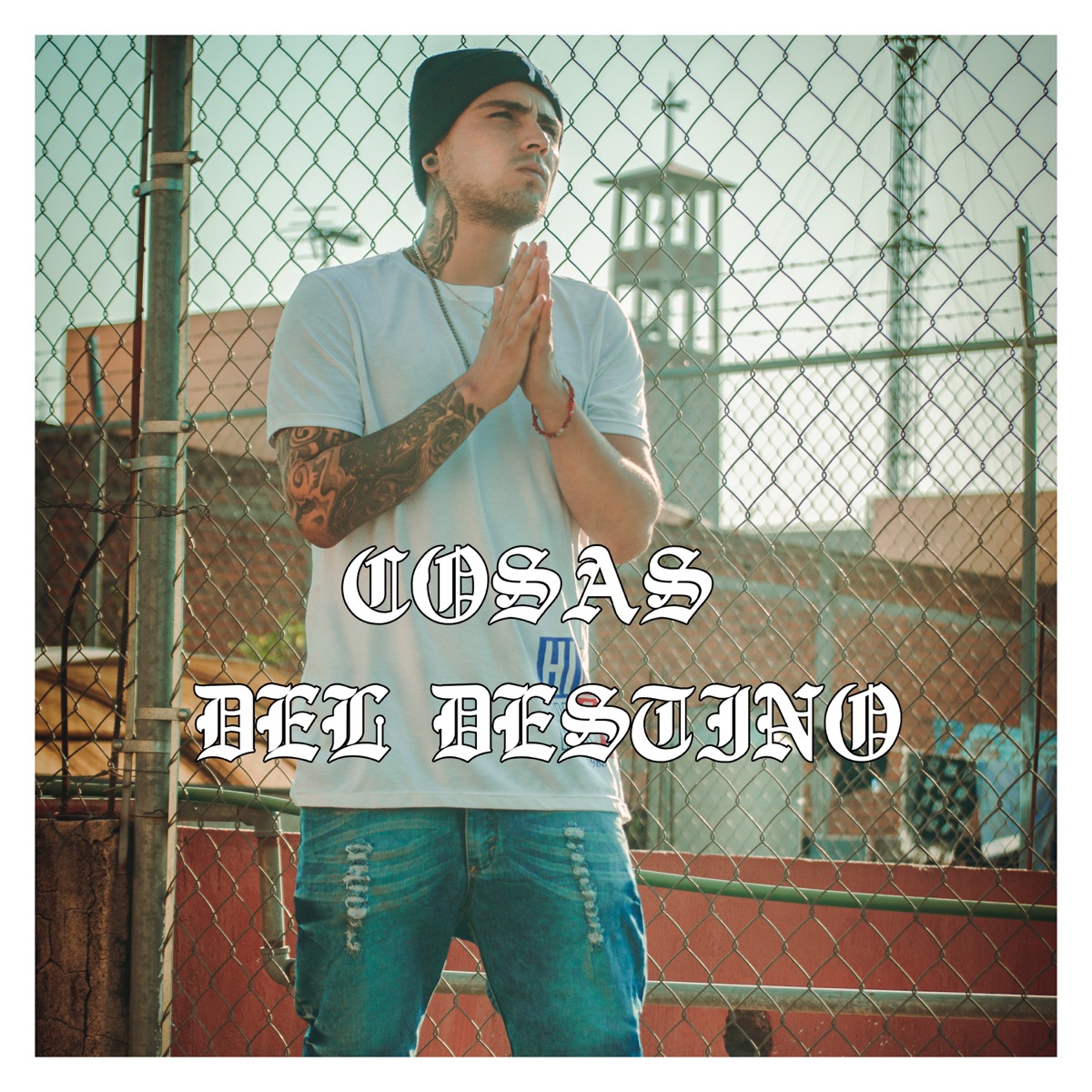 Cosas Del Destino - Single by CHUY BJ album cover