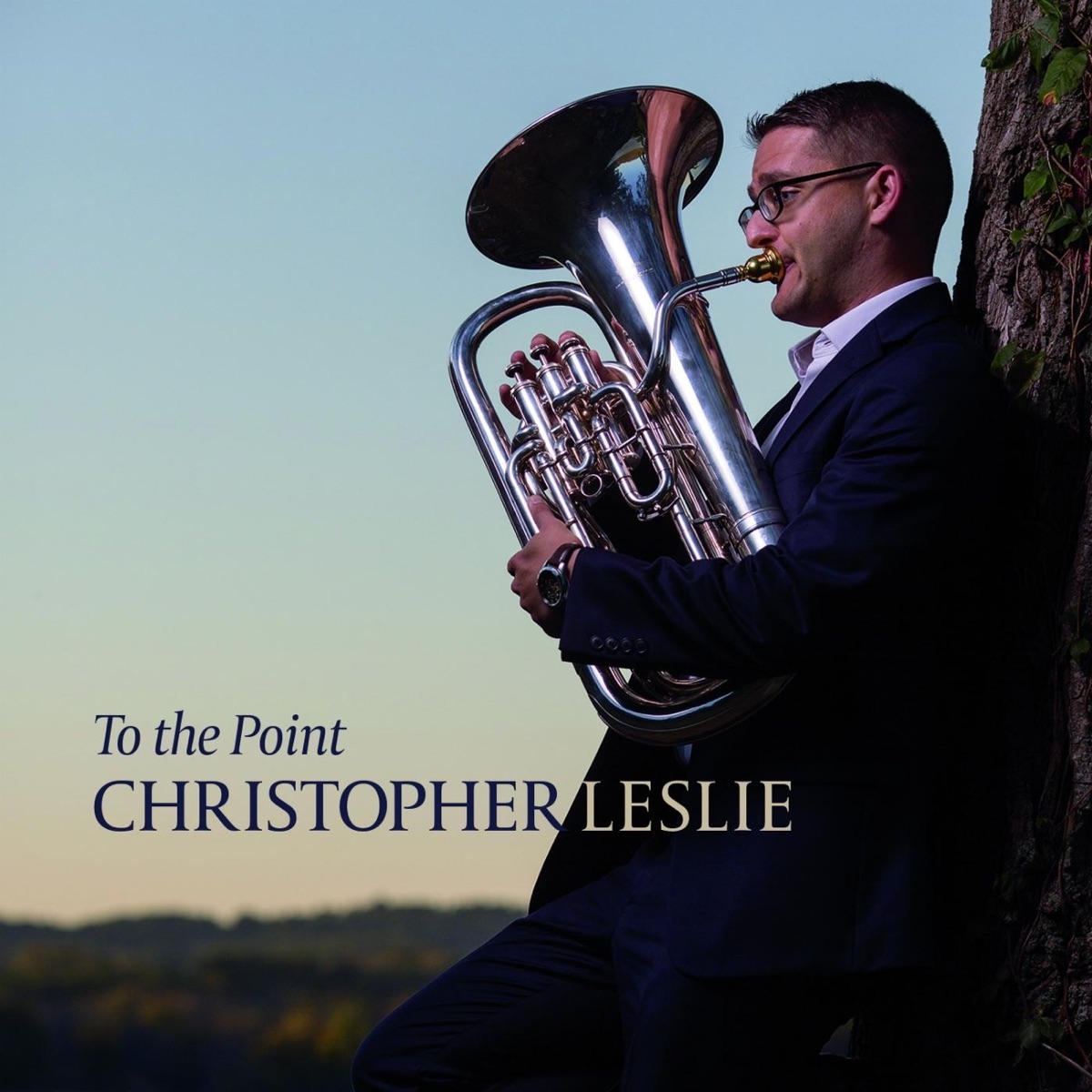 To the Point by Christopher Leslie & Anatoly Sheludyakov album cover